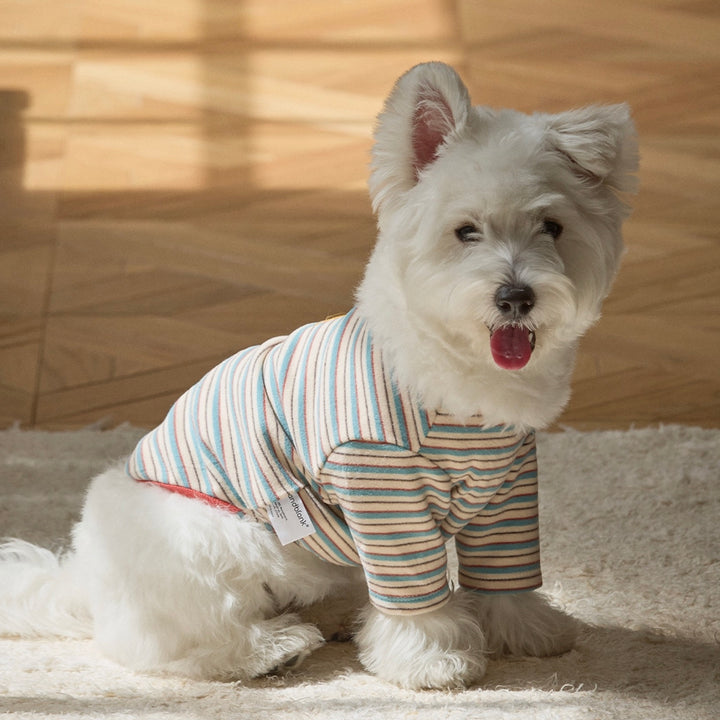 ※予約販売【andblank】A Stitch SoftWarm Stripe Short Sleeve（Ecru）
