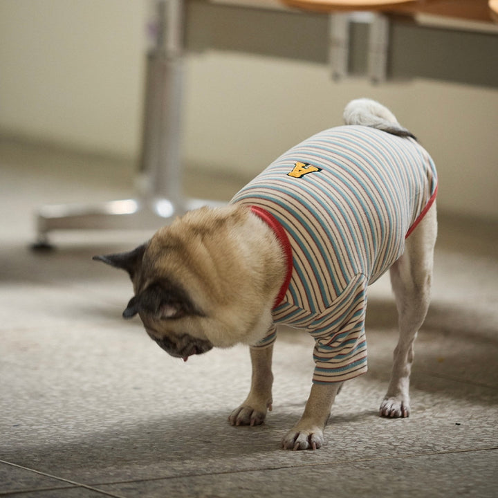 ※予約販売【andblank】A Stitch SoftWarm Stripe Short Sleeve（Ecru）