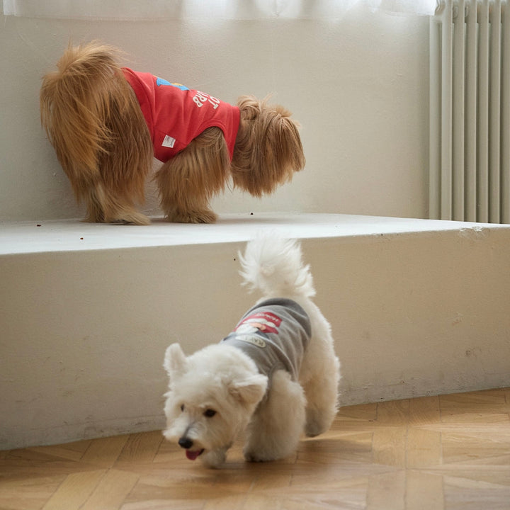 ※予約販売【andblank】Joy Bear Sleeveless Sweatshirt