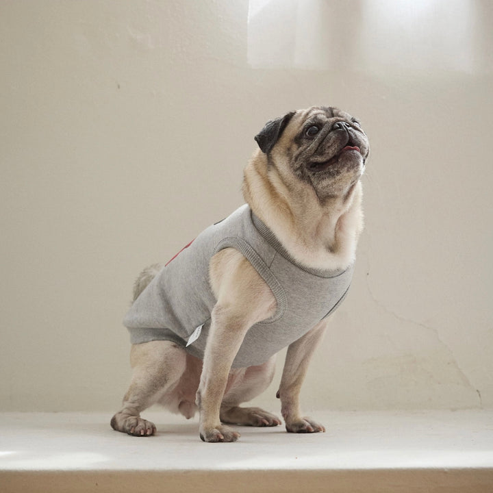 ※予約販売【andblank】Toy Howdy Sleeveless Sweatshirt