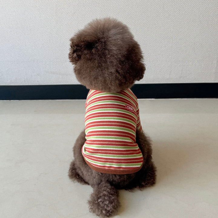 ※予約販売【CRR】Autumn Stripe Top（Olive Brown）