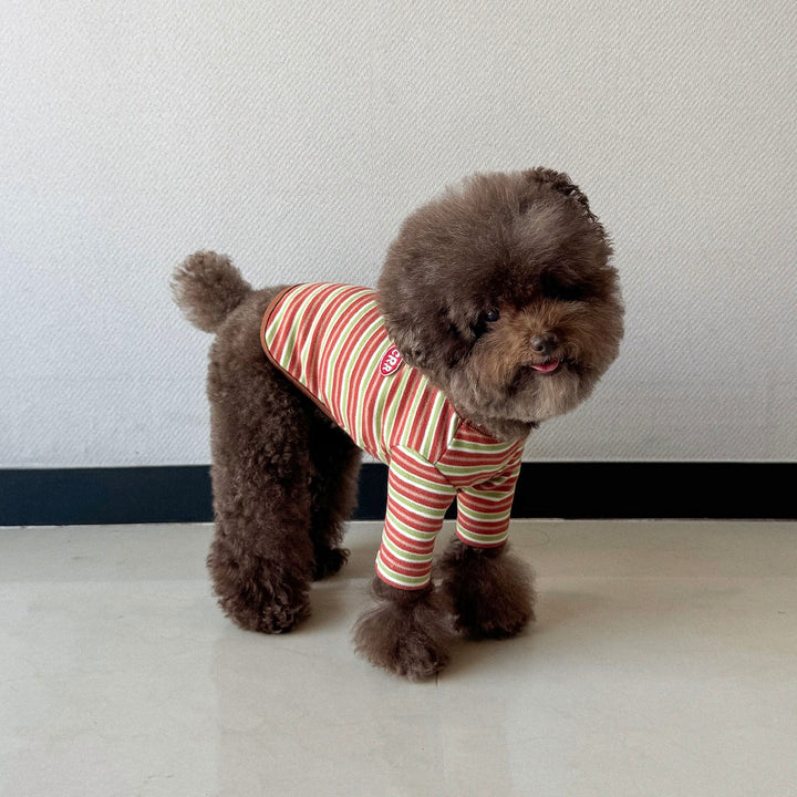 ※予約販売【CRR】Autumn Stripe Top（Olive Brown）