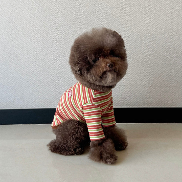 ※予約販売【CRR】Autumn Stripe Top（Olive Brown）