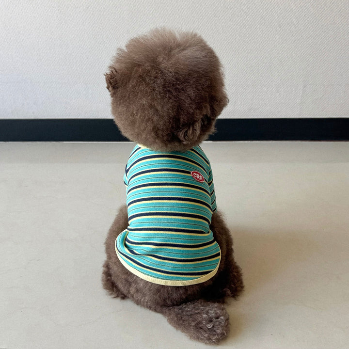※予約販売【CRR】Autumn Stripe Top（Lemon Blue）
