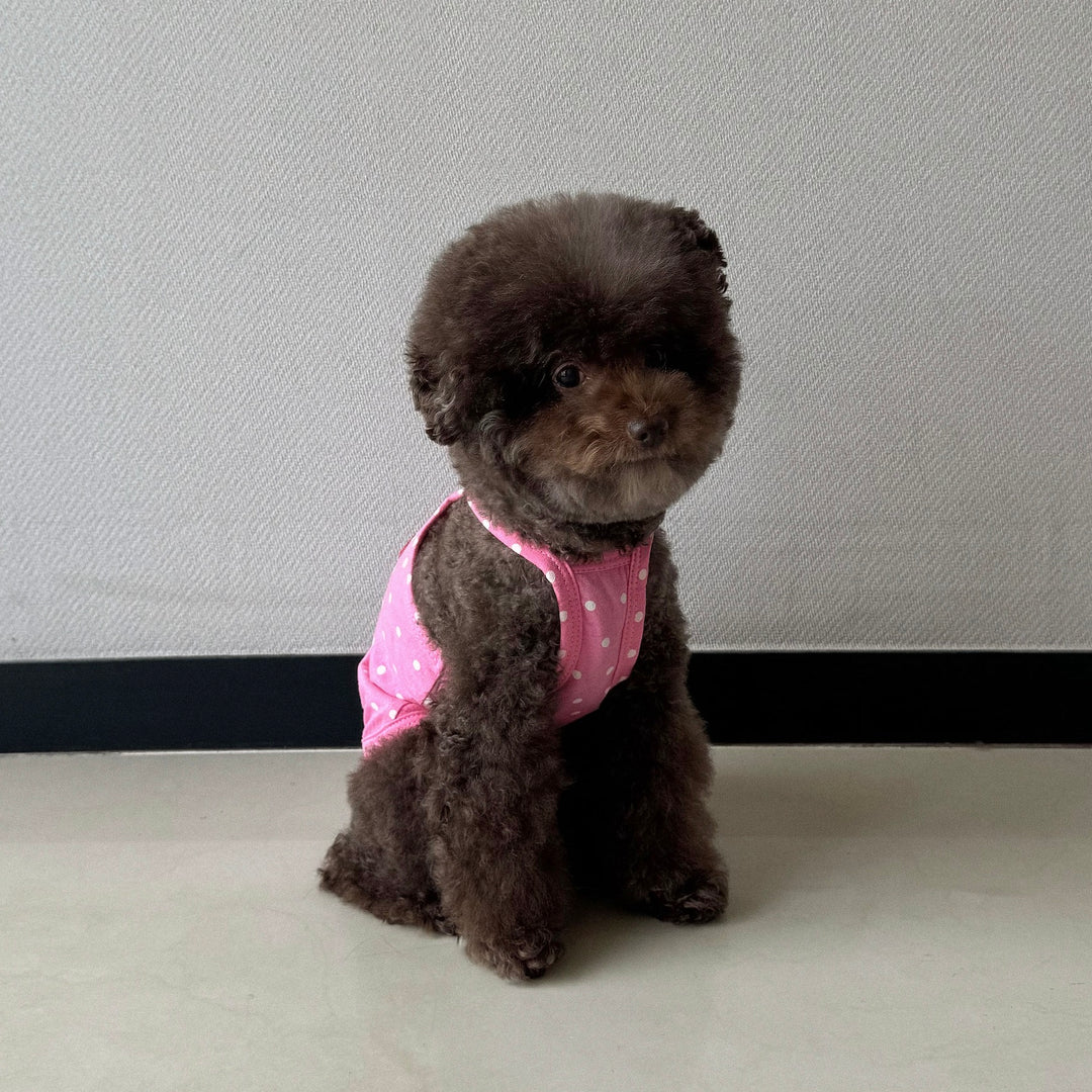 ※予約販売【CRR】Retro Dot Strap Top（Pink）