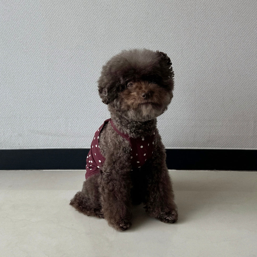 ※予約販売【CRR】Retro Dot Strap Top（Burgundy）
