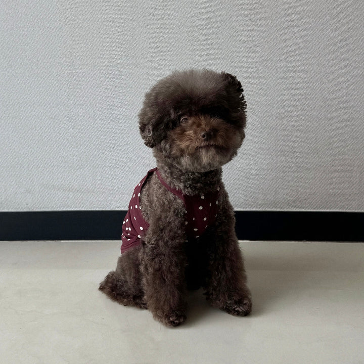 ※予約販売【CRR】Retro Dot Strap Top（Burgundy）