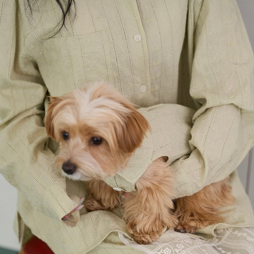※予約販売【noutti】Aile Eyelet Shirt（Sage Green）