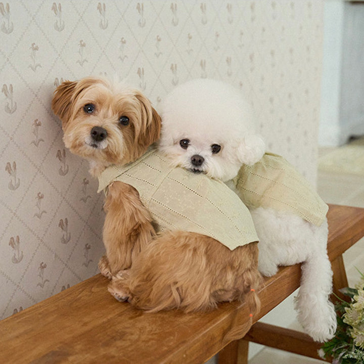 ※予約販売【noutti】Aile Eyelet Sleeveless Shirt（Sage Green）