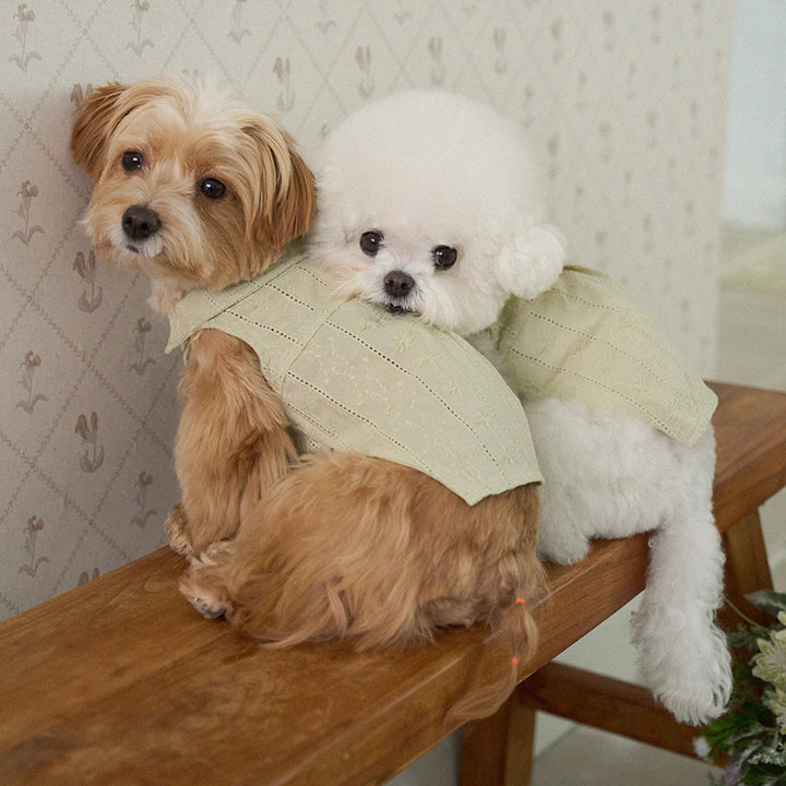 ※予約販売【noutti】Aile Eyelet Sleeveless Shirt（Sage Green）