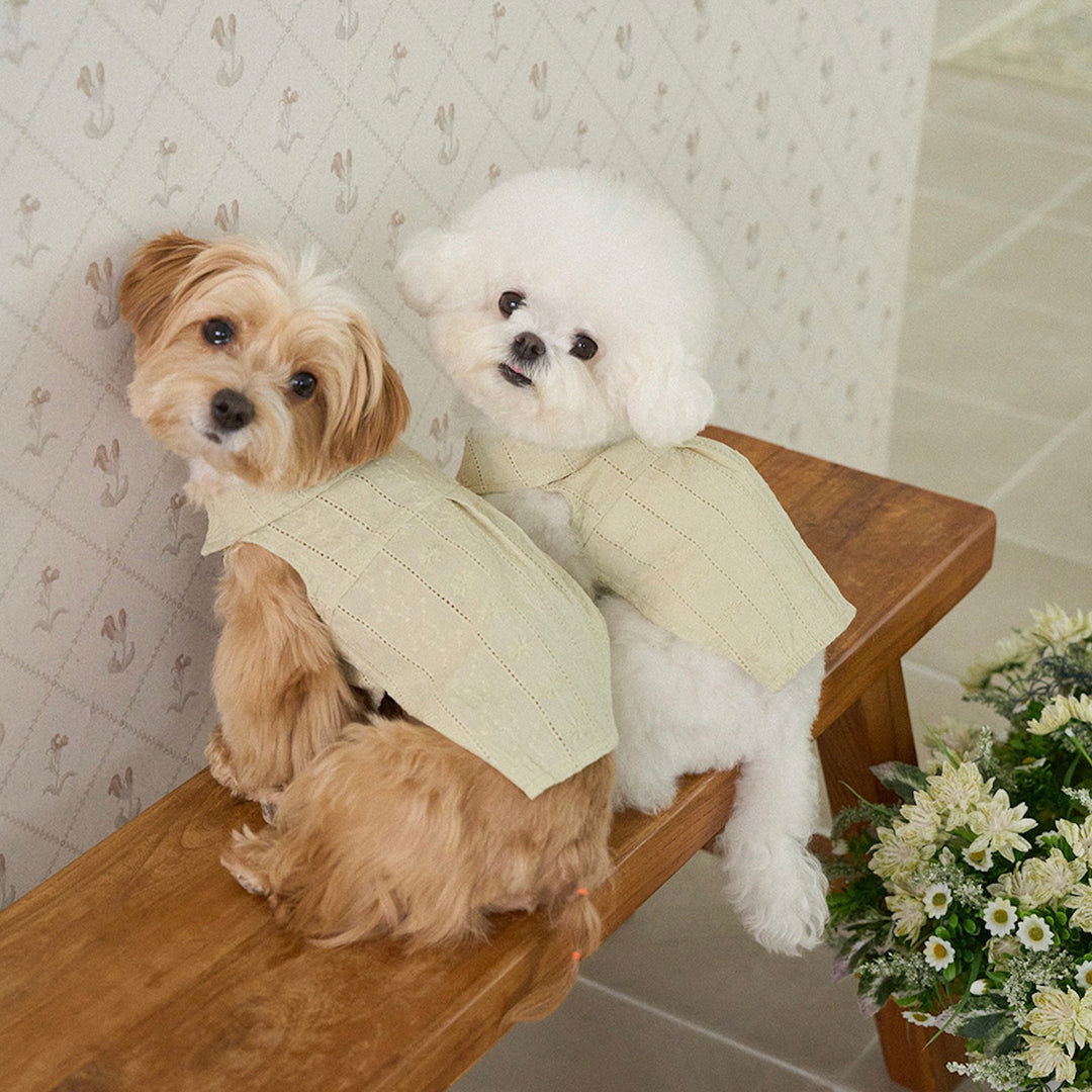 ※予約販売【noutti】Aile Eyelet Sleeveless Shirt（Sage Green）