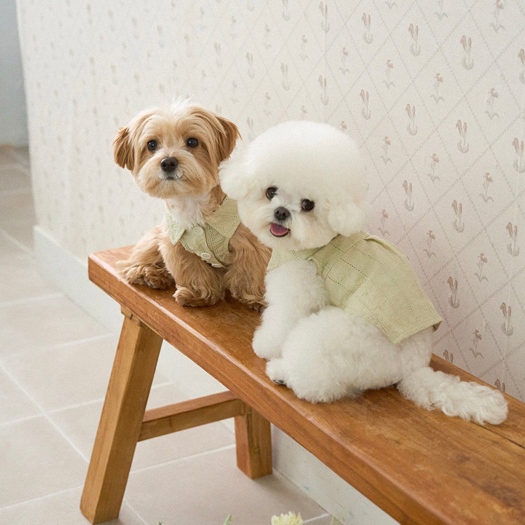 ※予約販売【noutti】Aile Eyelet Sleeveless Shirt（Sage Green）