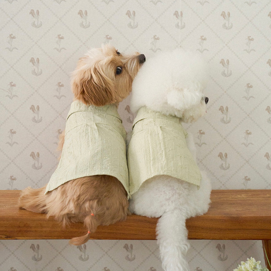 ※予約販売【noutti】Aile Eyelet Sleeveless Shirt（Sage Green）