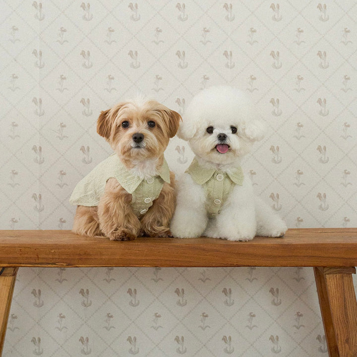 ※予約販売【noutti】Aile Eyelet Sleeveless Shirt（Sage Green）