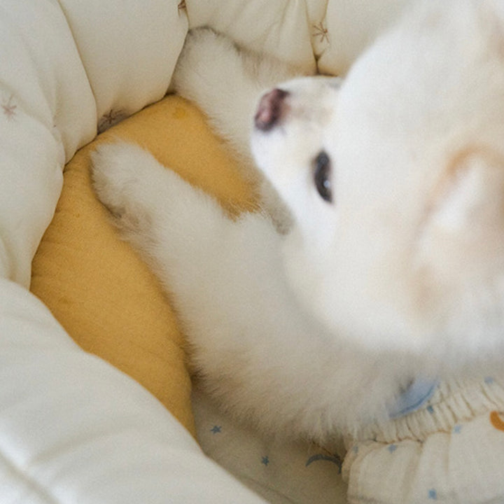 ※予約販売【noutti】Luna Pillow