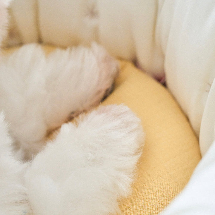 ※予約販売【noutti】Luna Pillow