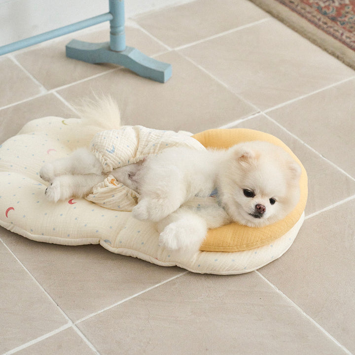 ※予約販売【noutti】Luna Pillow