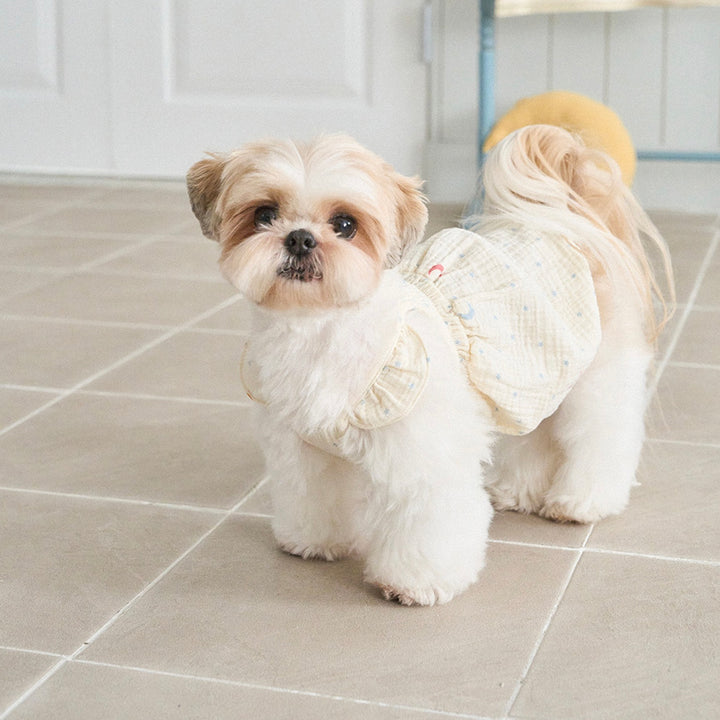 ※予約販売【noutti】Luna Smock Balloon Top