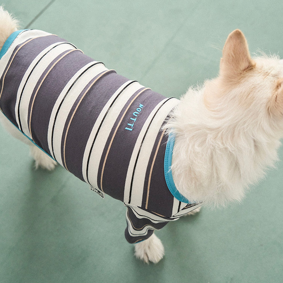 ※予約販売【noutti】Momo Stripe T-shirt（Dark Gray）