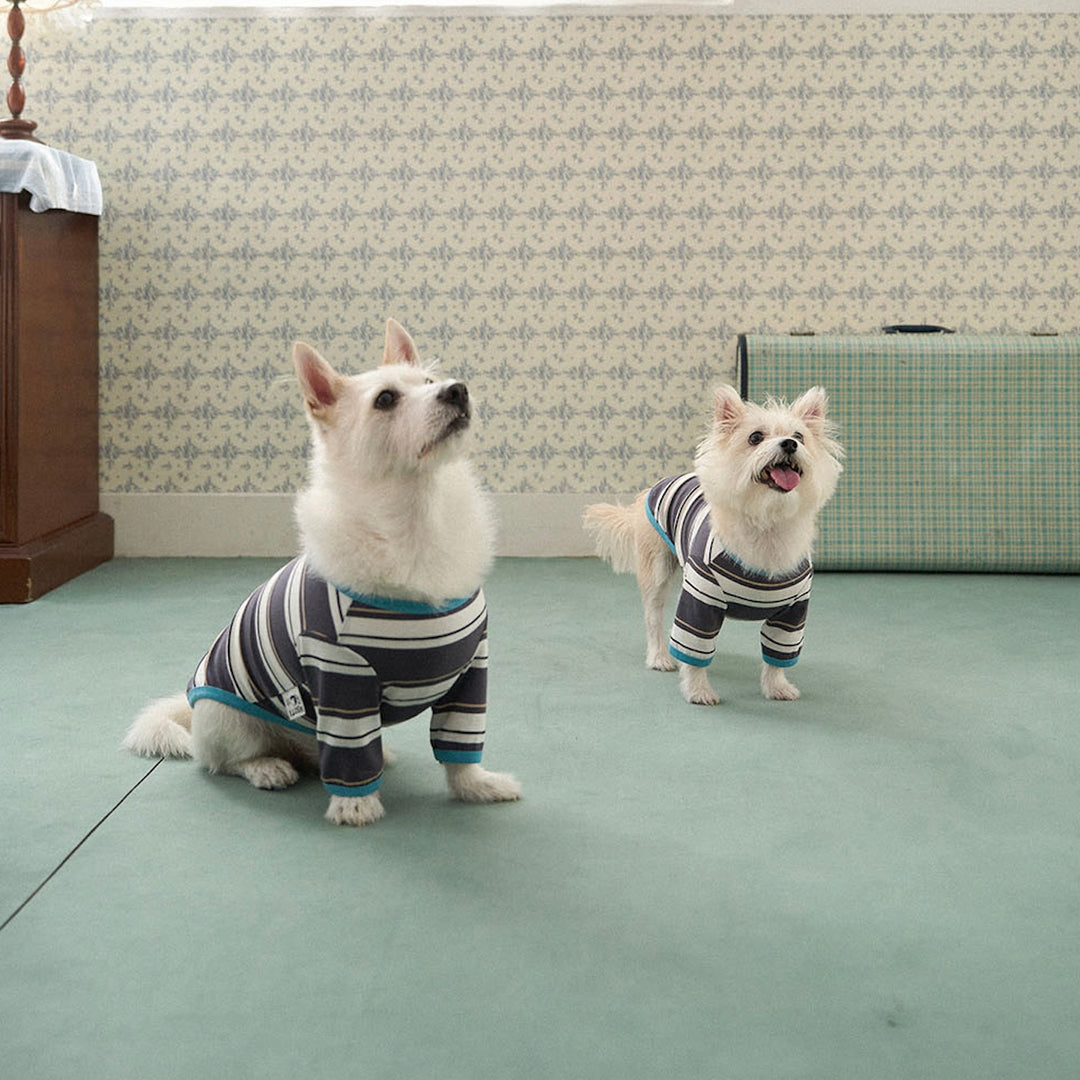 ※予約販売【noutti】Momo Stripe T-shirt（Dark Gray）