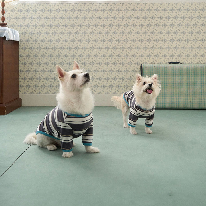 ※予約販売【noutti】Momo Stripe T-shirt（Dark Gray）
