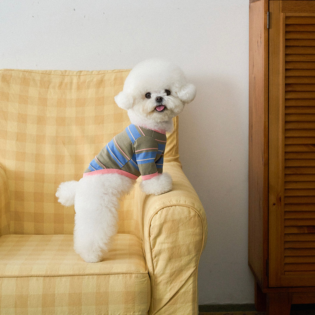 ※予約販売【noutti】Momo Stripe T-shirt（Vintage Khaki）