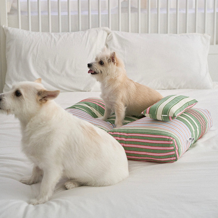 ※予約販売【noutti】Poppy Stripe Cushion（2color）