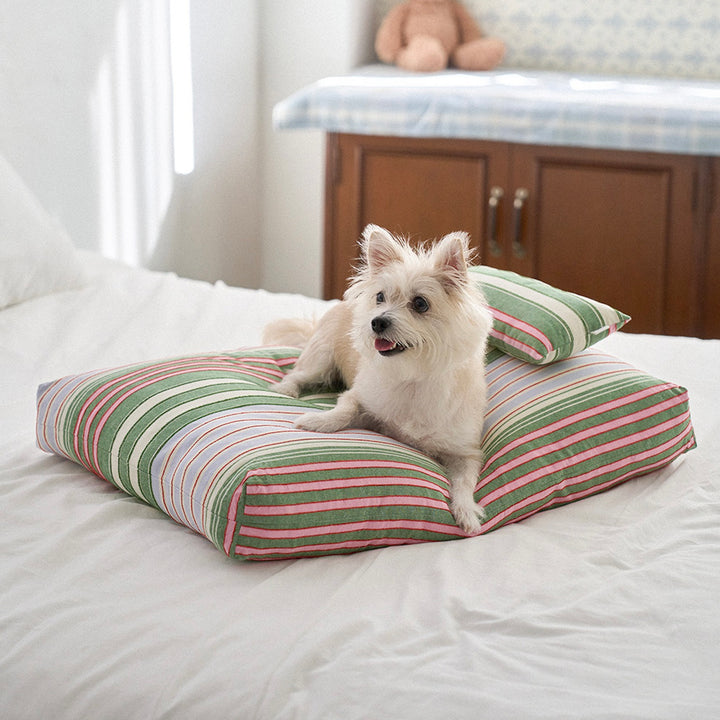 ※予約販売【noutti】Poppy Stripe Cushion（2color）