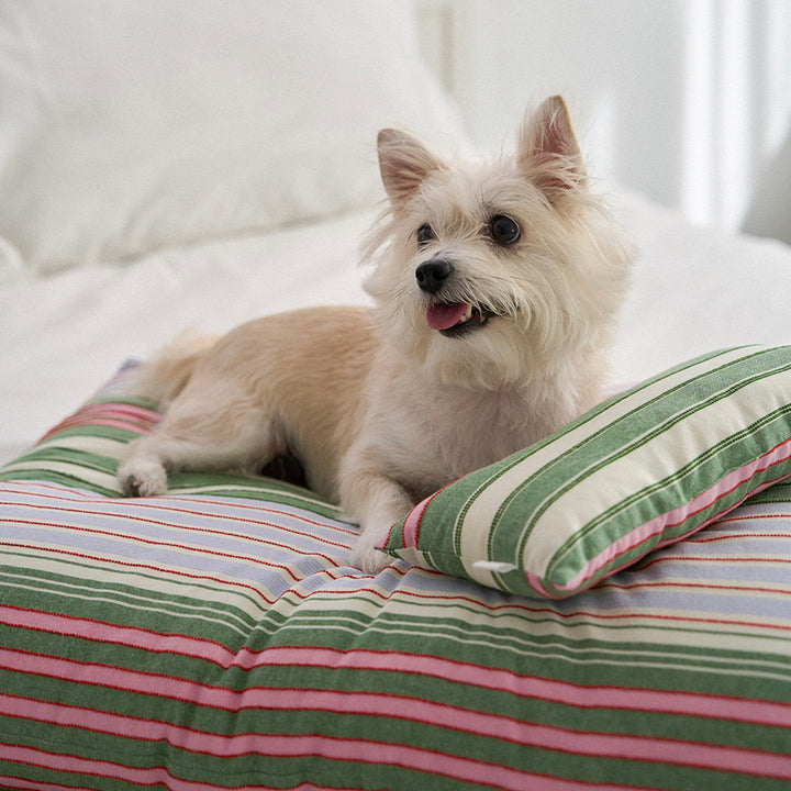 ※予約販売【noutti】Poppy Stripe Cushion（2color）