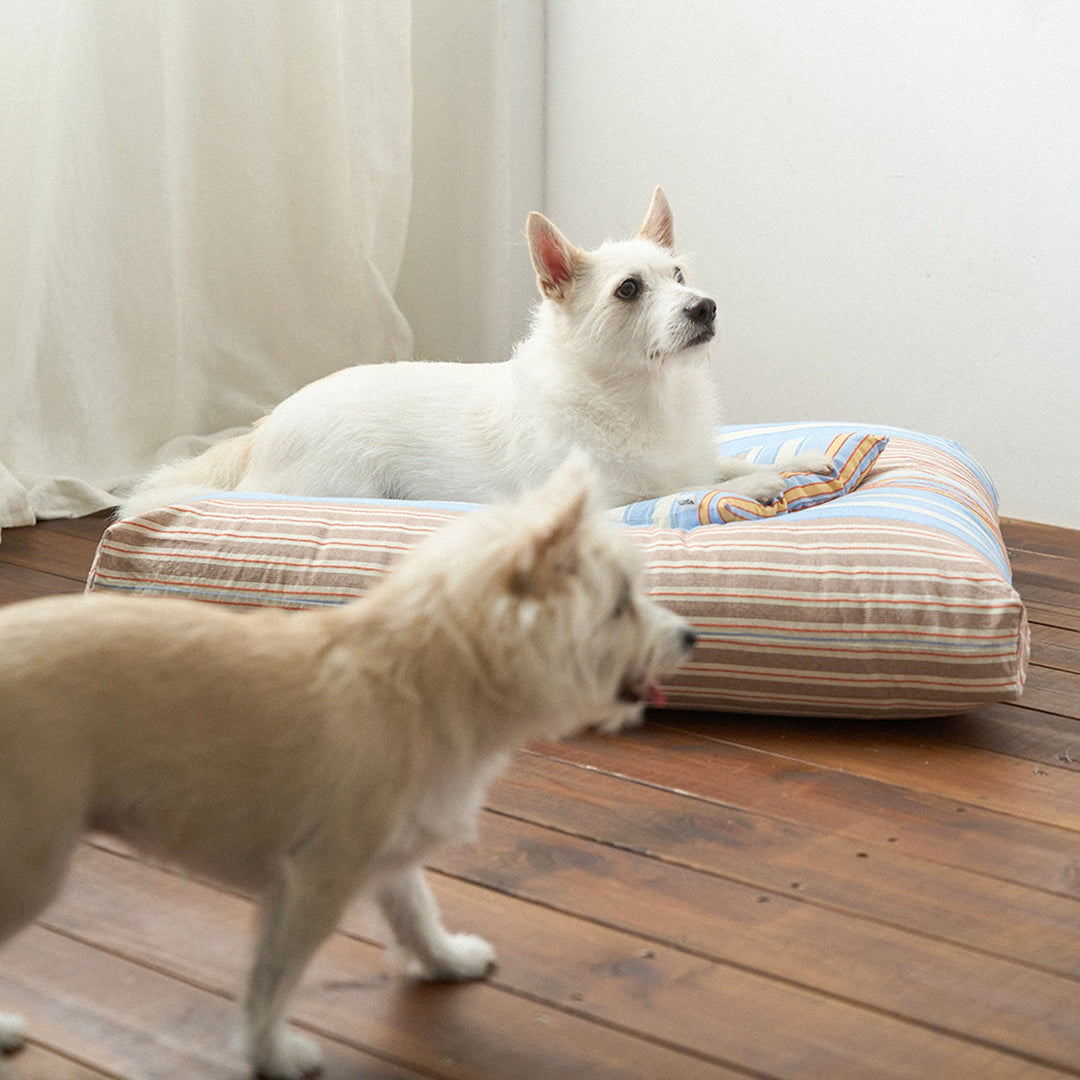 ※予約販売【noutti】Poppy Stripe Cushion（2color）