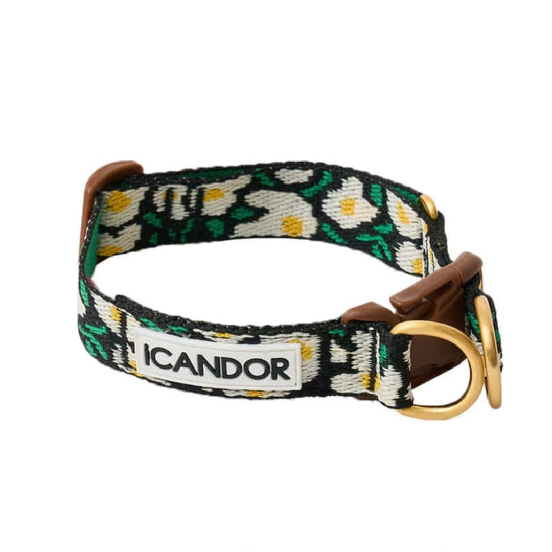 ※予約販売【iCANDOR】Gentle Collar Dual（BIG FISH BLACK）