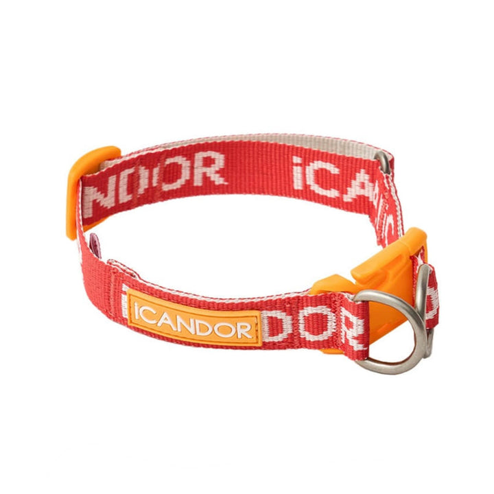 ※予約販売【iCANDOR】Gentle Collar Dual（SIGNATURE）