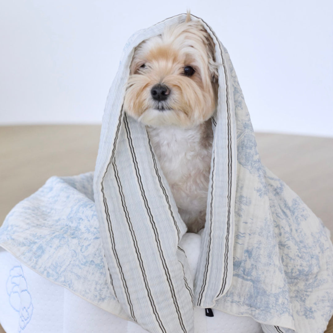 ※予約販売【azalea】Blue Check Blanket