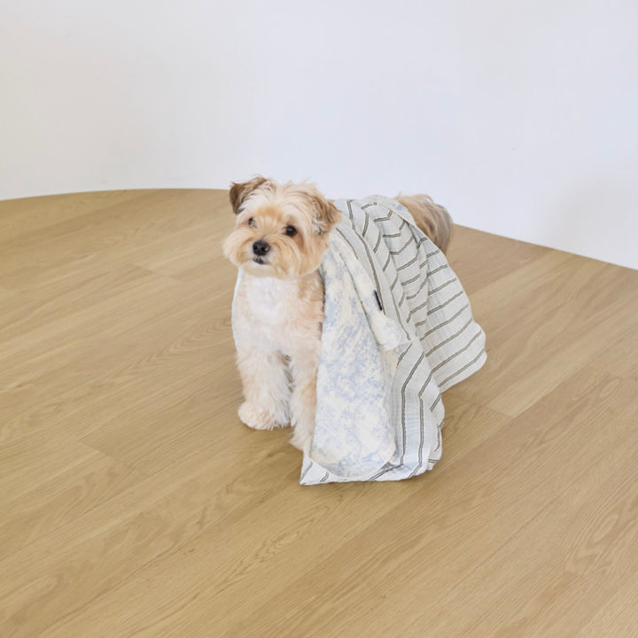 ※予約販売【azalea】Blue Check Blanket