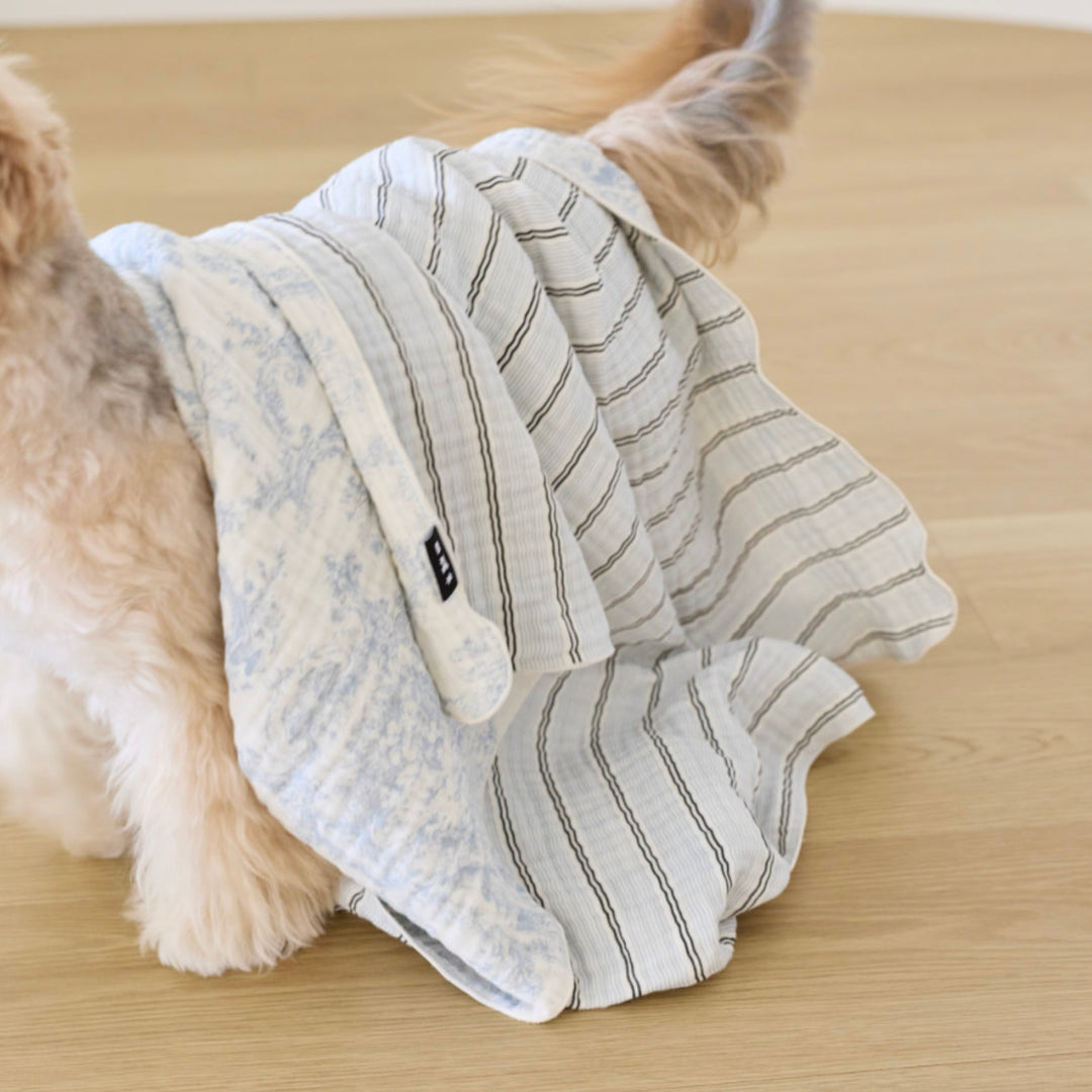 ※予約販売【azalea】Blue Check Blanket