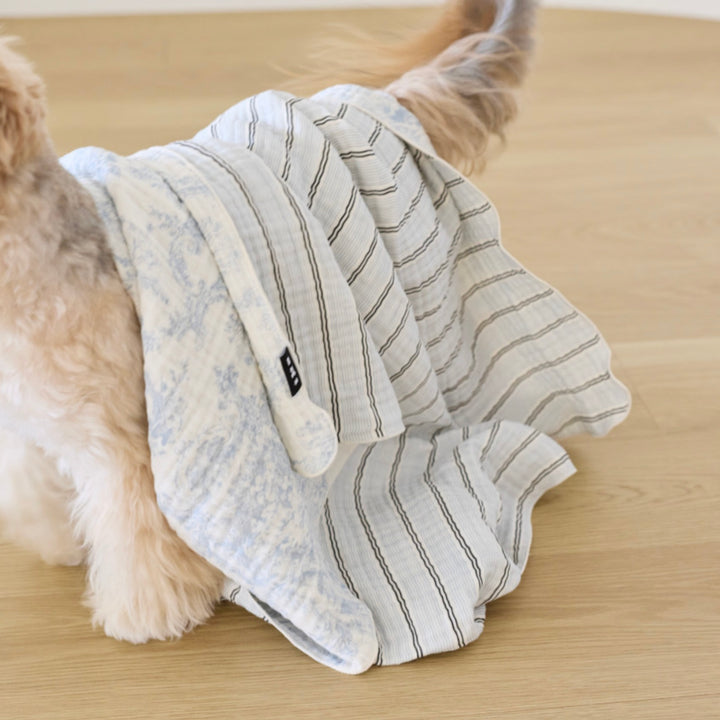 ※予約販売【azalea】Blue Check Blanket