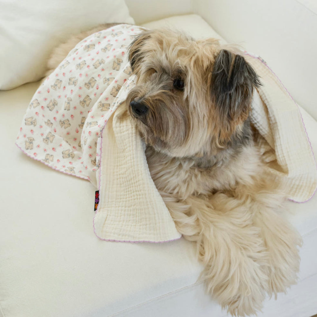 ※予約販売【azalea】Flower Lamb Blanket