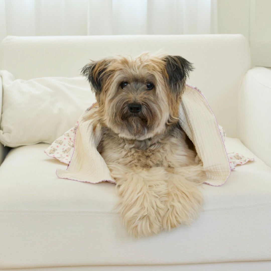 ※予約販売【azalea】Flower Lamb Blanket
