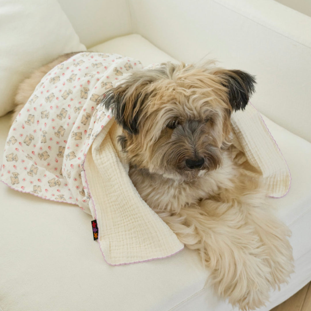 ※予約販売【azalea】Flower Lamb Blanket