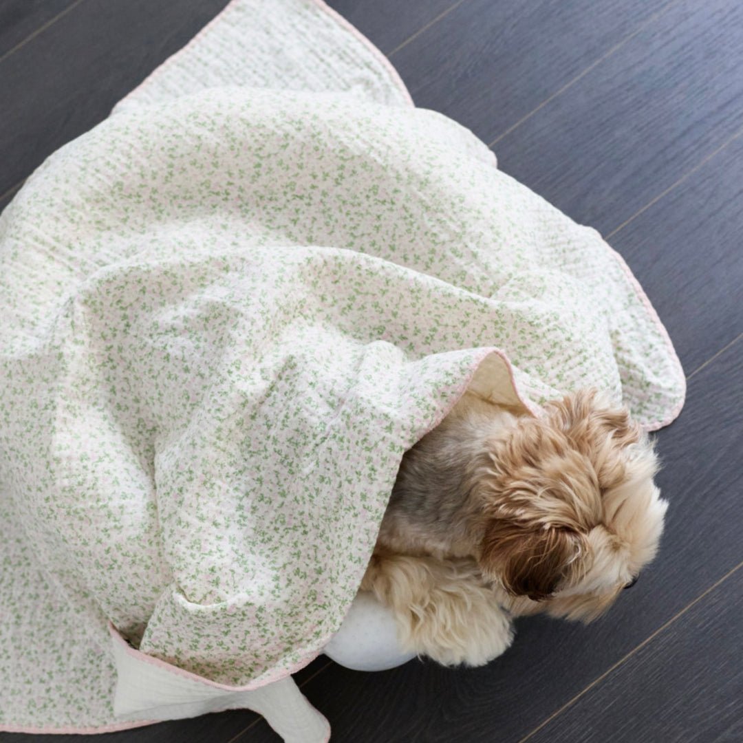 ※予約販売【azalea】Small Flower Blanket（2color）