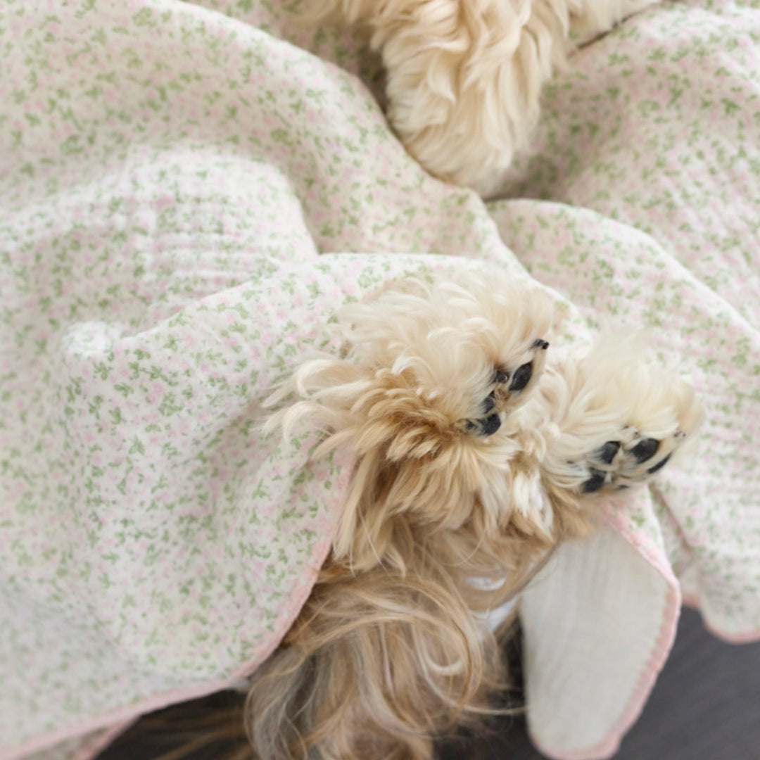 ※予約販売【azalea】Small Flower Blanket（2color）