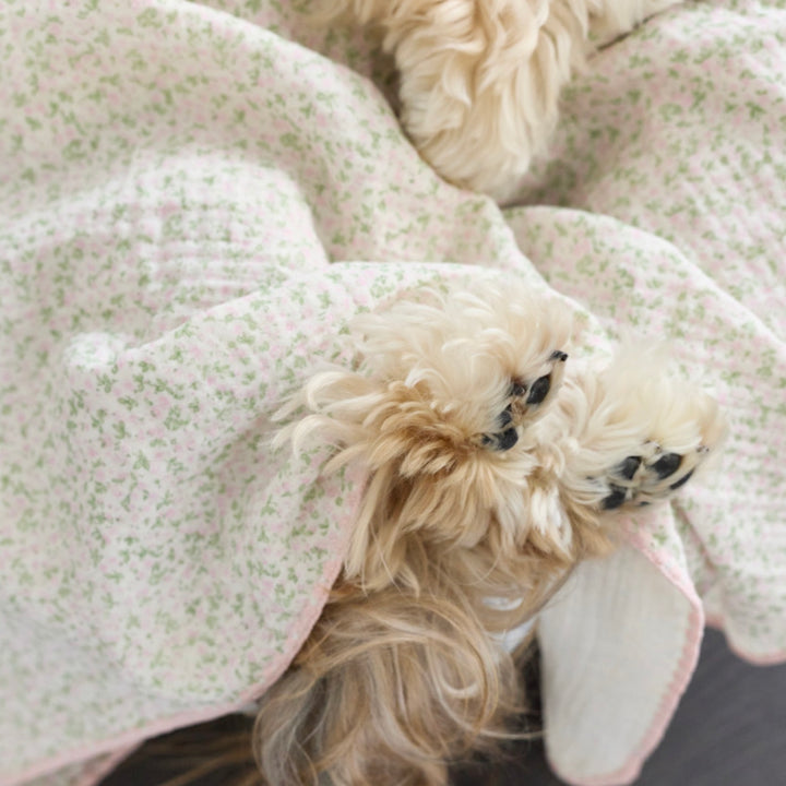 ※予約販売【azalea】Small Flower Blanket（2color）