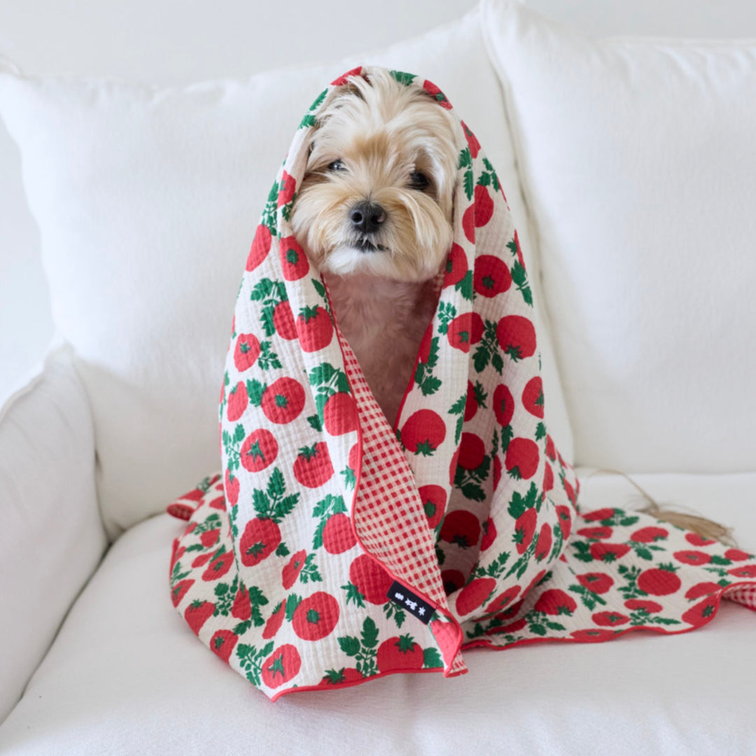 ※予約販売【azalea】Tomato Blanket（2color）
