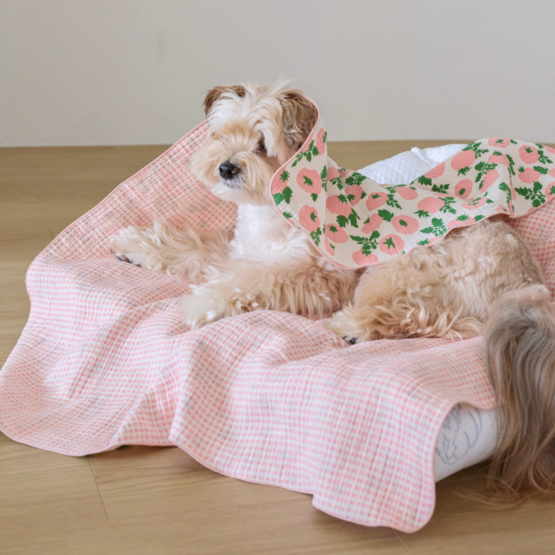 ※予約販売【azalea】Tomato Blanket（2color）