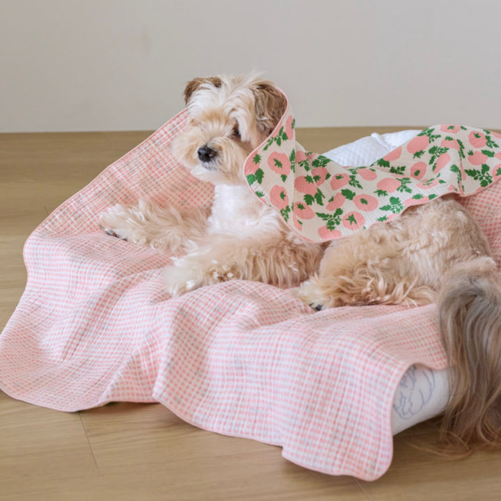 ※予約販売【azalea】Tomato Blanket（2color）