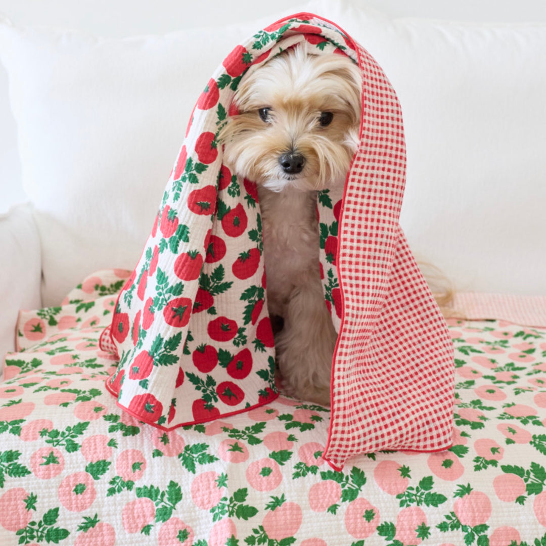 ※予約販売【azalea】Tomato Blanket（2color）