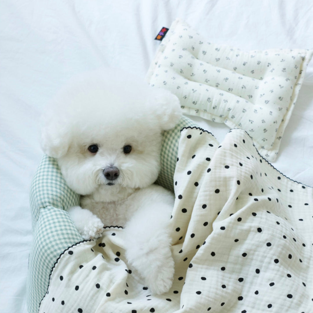 ※予約販売【azalea】Sleeping Pillow（4color）