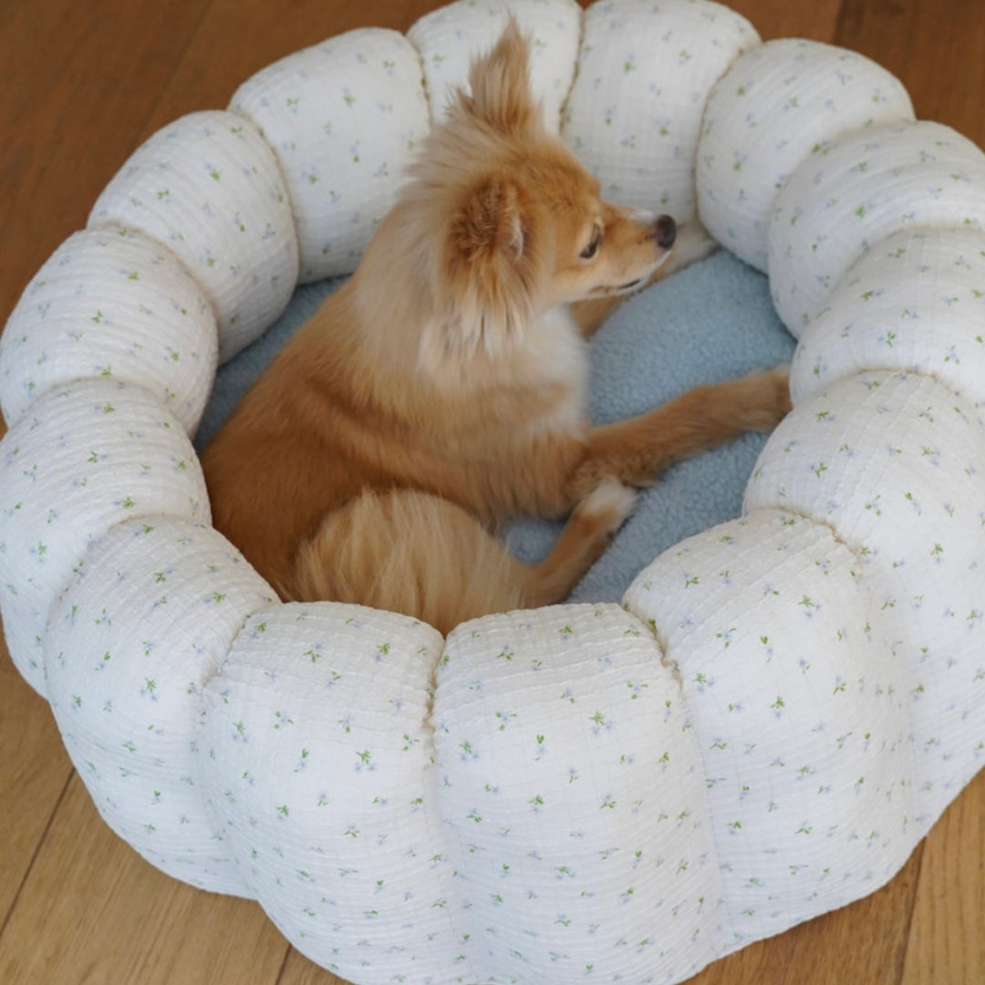 ※予約販売【azalea】Canele Cushion（Flower Soft / Mellow Sky）