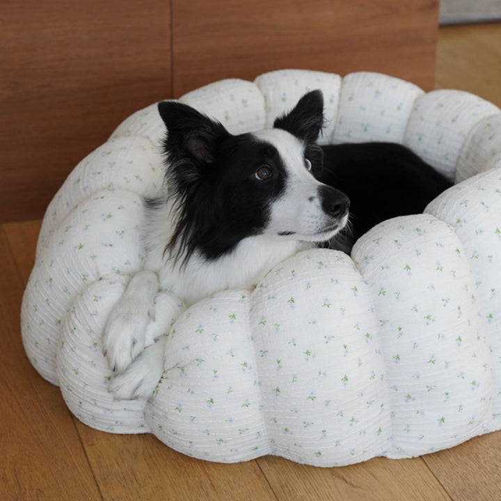※予約販売【azalea】Canele Cushion（Flower Soft / Mellow Sky）