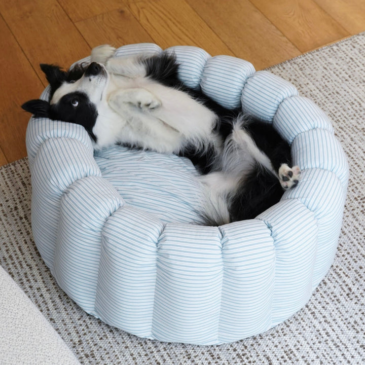 ※予約販売【azalea】Canele Cushion（New Stripe Blue）